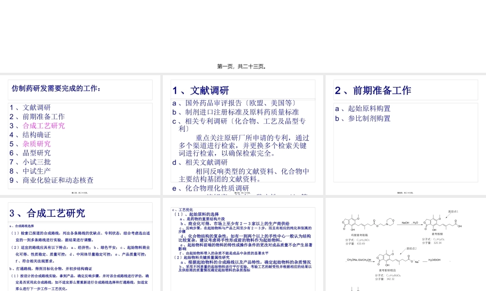 仿制药研发.pptx