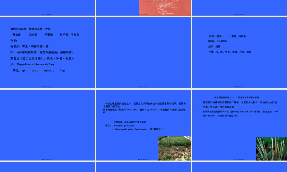 作物抗病虫遗传育种.pptx