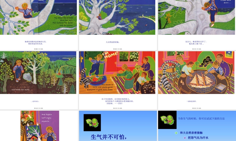 儿童绘本-苏菲生气了.pptx