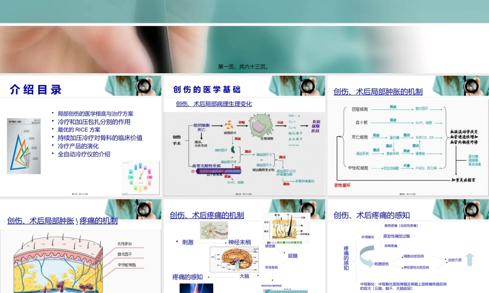 全自动加压冷疗仪(骨科专业版).pptx