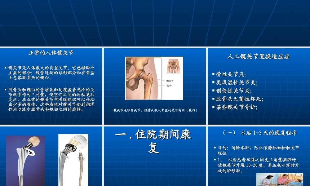 全髋关节置换术后康复训练修订版摘要.ppt