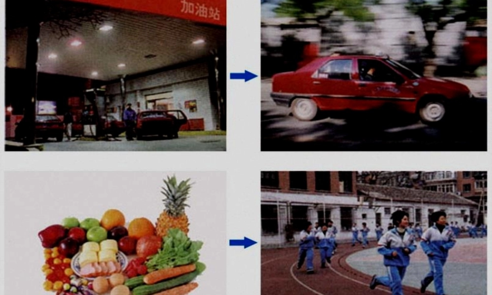 公开课细胞中的糖类和脂质.pptx