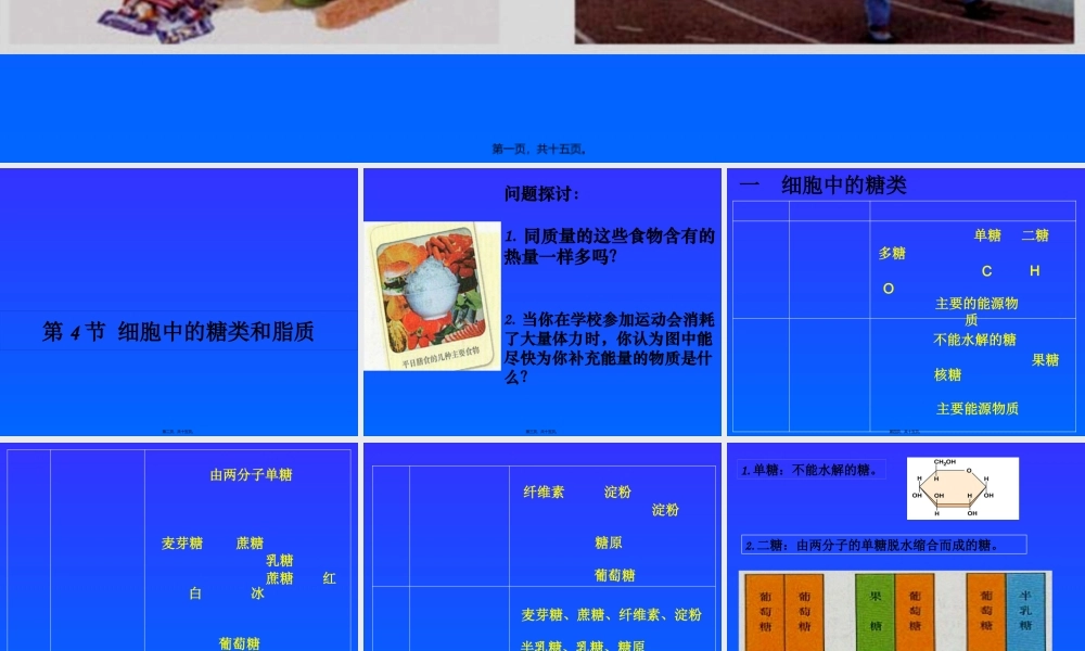 公开课细胞中的糖类和脂质.pptx