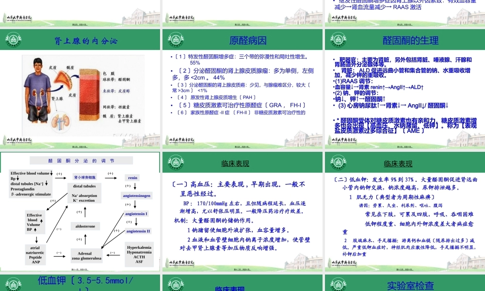 内分泌性高血压—原醛.ppt
