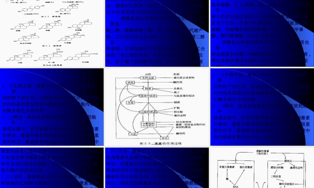 内分泌学基础.pptx