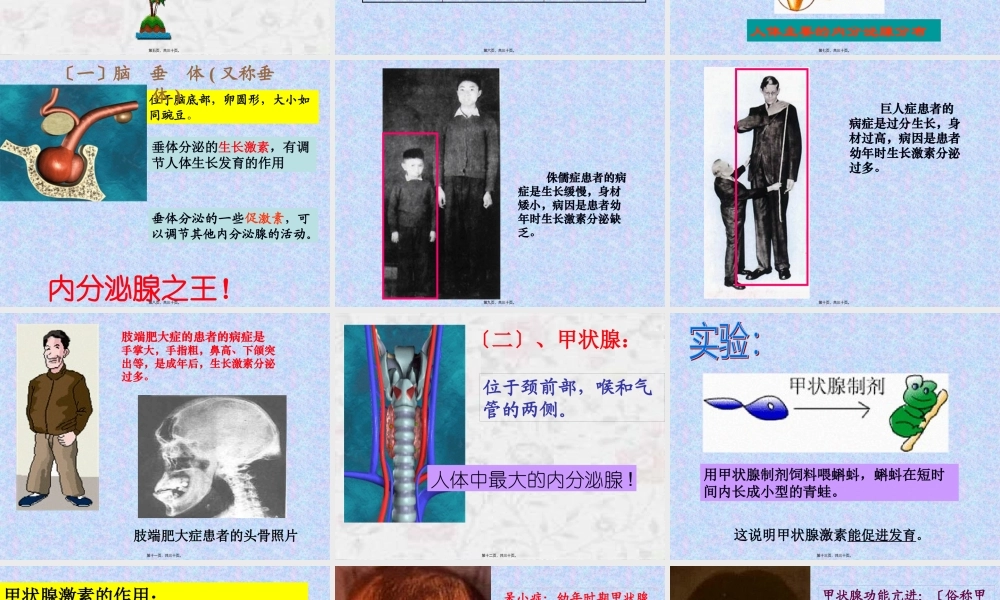 内分泌腺之王!垂体分泌的生长激素.pptx