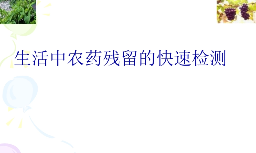农药残留速测仪快速检测农药残留的应用研究.pptx