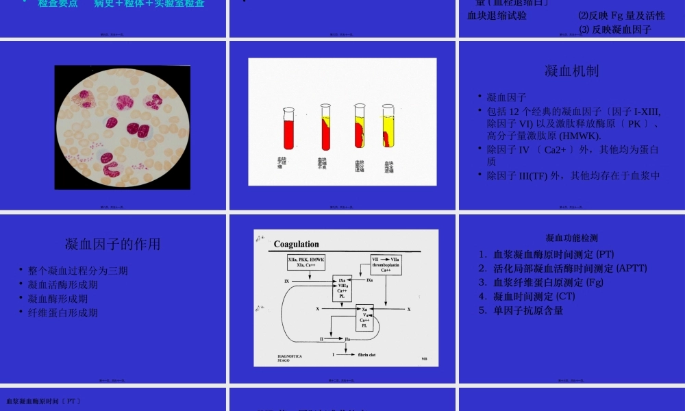 出血、血栓与止血检测.pptx