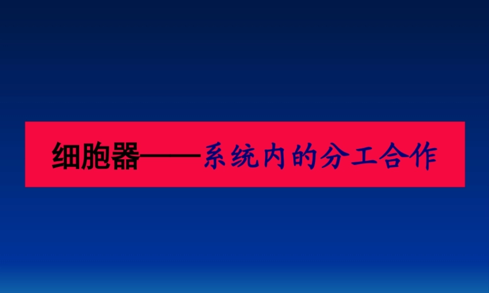分工与合作--细胞器3.2ppt.pptx