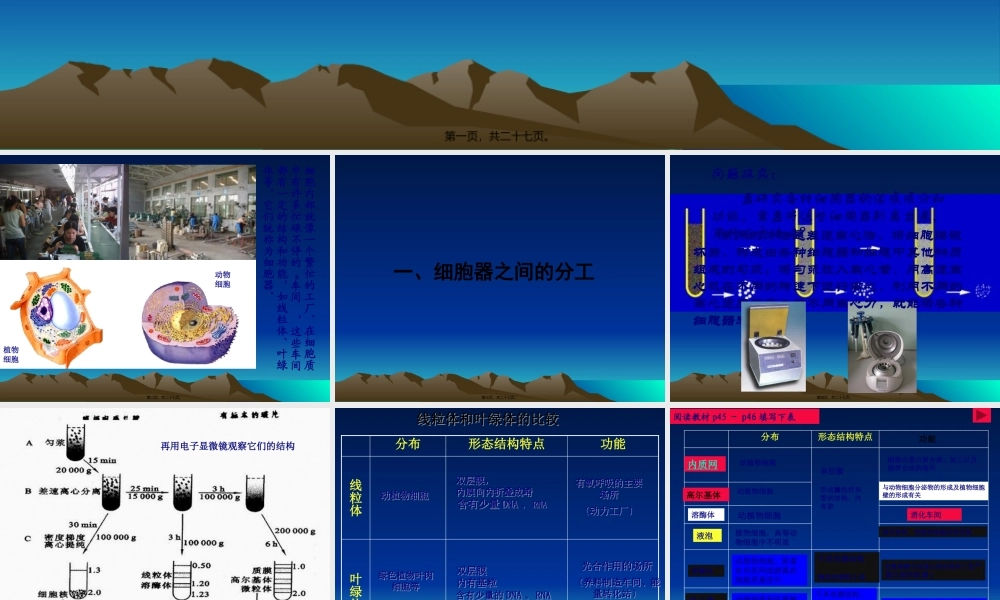 分工与合作--细胞器3.2ppt.pptx