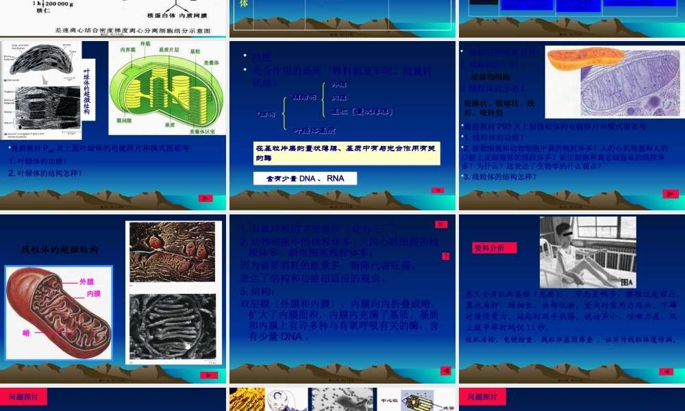 分工与合作--细胞器3.2ppt.pptx