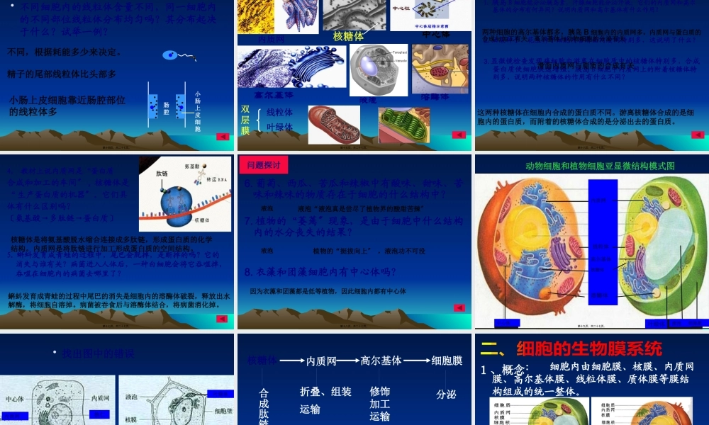 分工与合作--细胞器3.2ppt.pptx