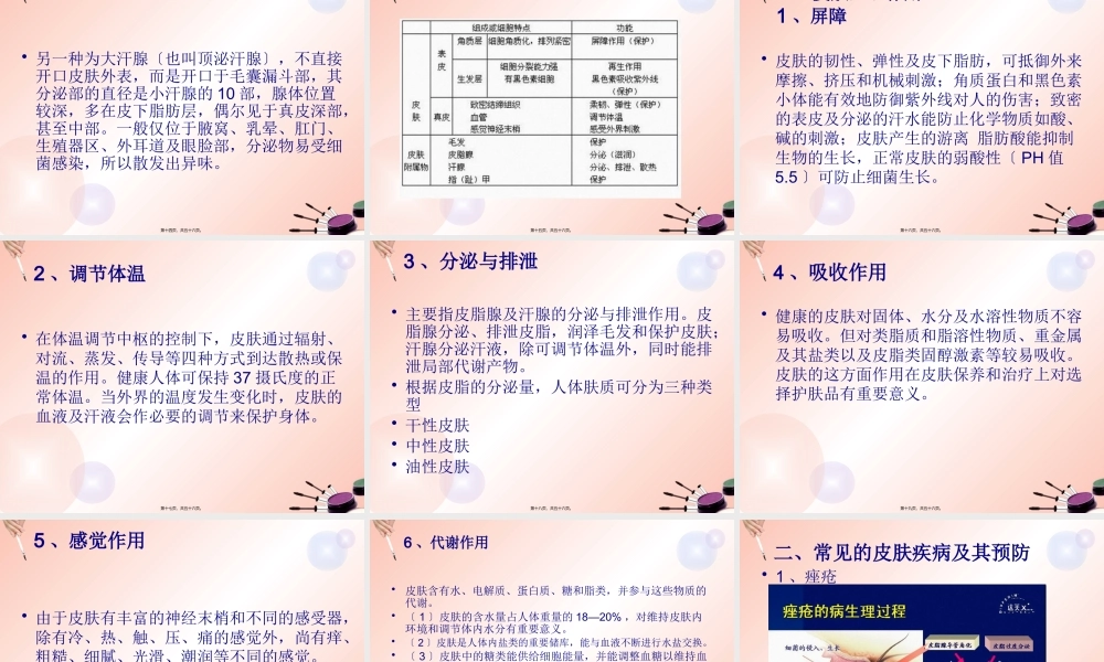 化妆品与皮肤生理.pptx