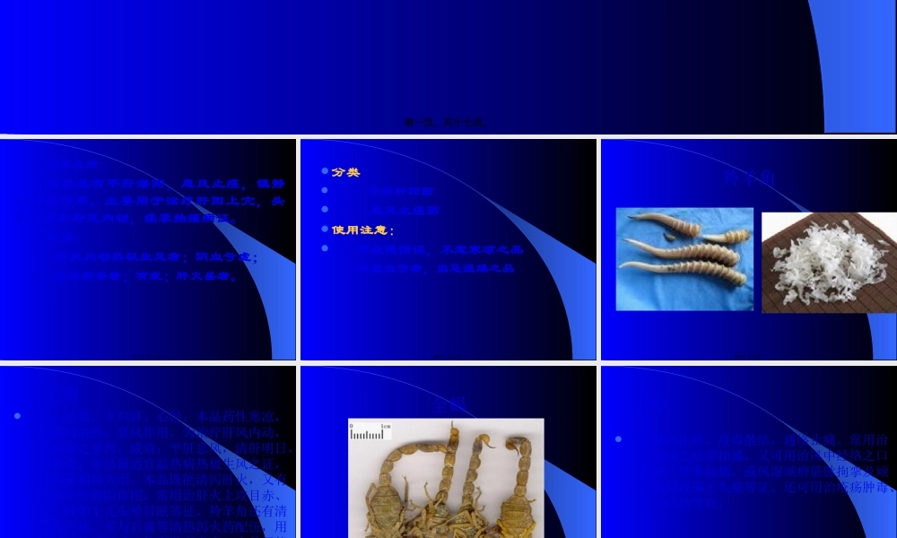 十二平肝熄风药-附件.pptx