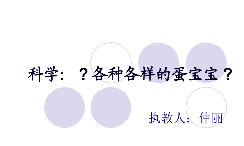 各种各样的蛋宝宝.pptx