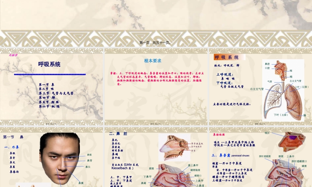 呼吸系统和泌尿系统概述.pptx