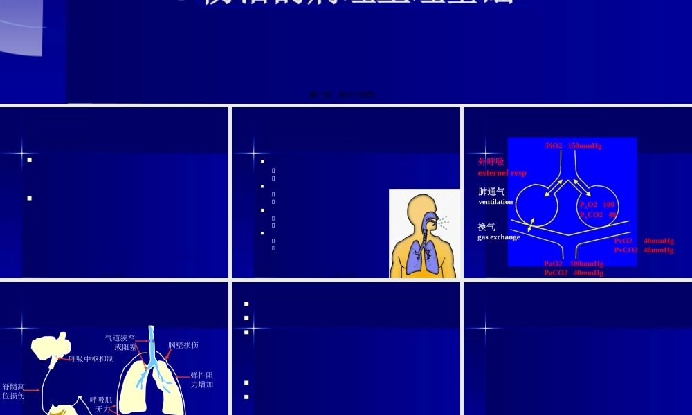 呼吸衰竭ARDS.pptx