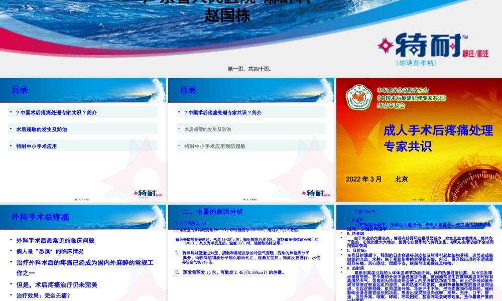 围术期镇痛：挑战与思考-赵国栋.pptx