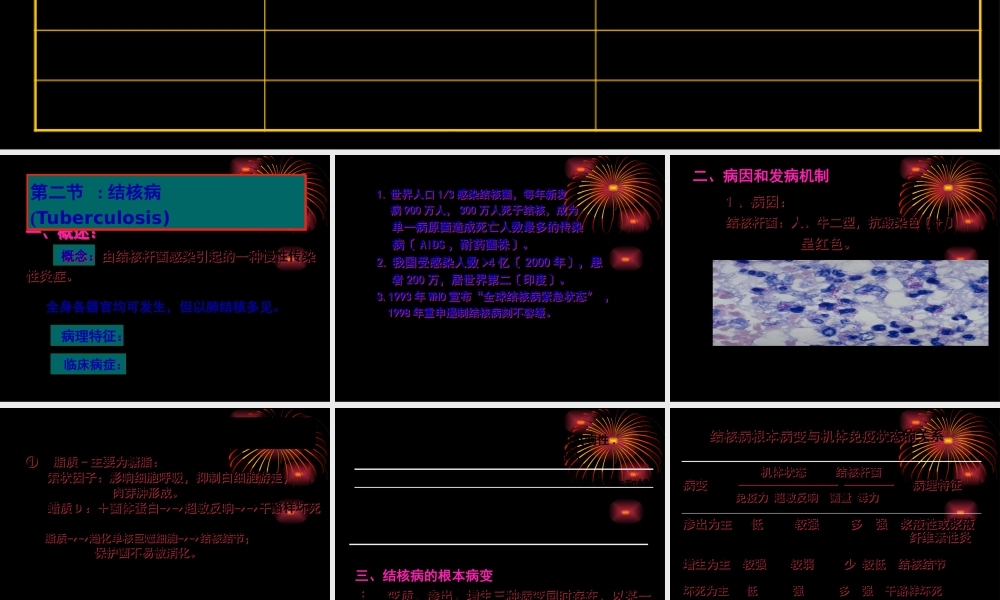 大叶性肺炎与小叶性肺炎的区别.pptx