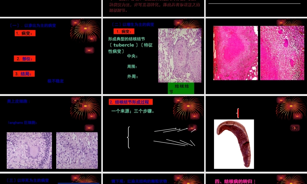 大叶性肺炎与小叶性肺炎的区别.pptx