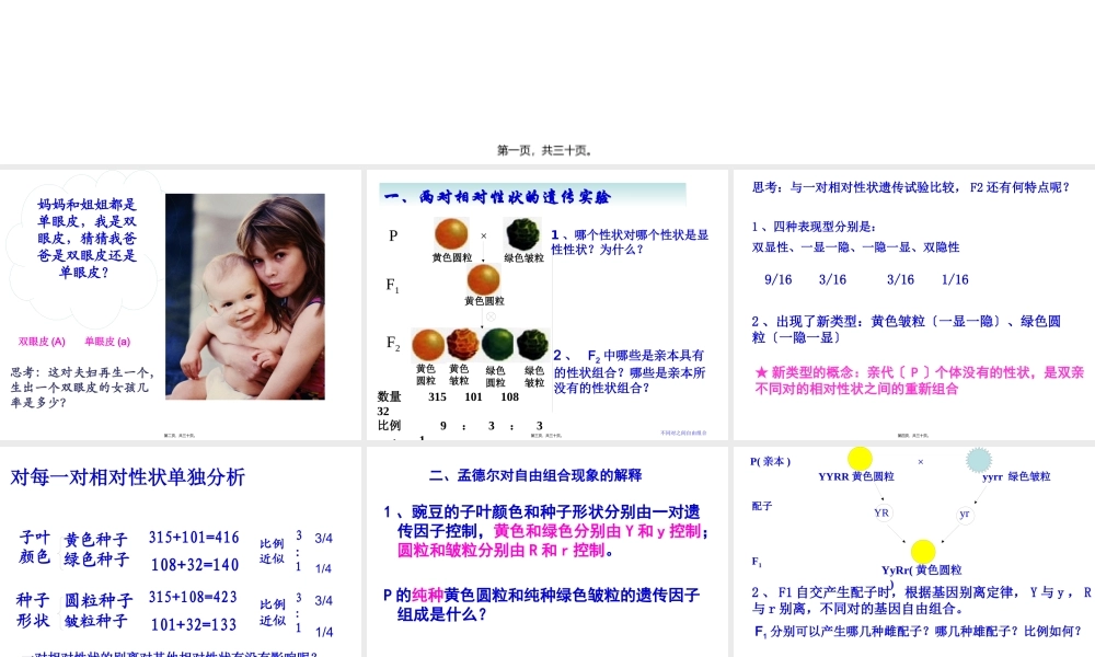 妈妈和姐姐都是单眼皮我是双眼皮猜猜我爸爸是双眼皮还.pptx