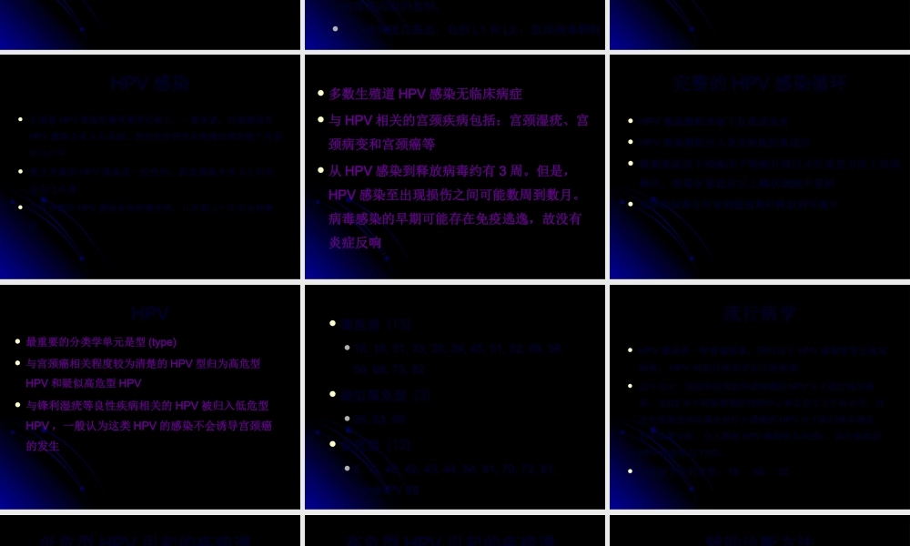 宫颈HPV感染.pptx