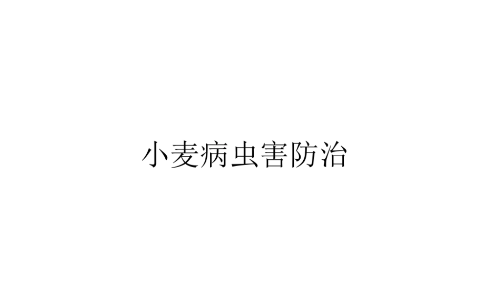 小麦病虫害防治.ppt
