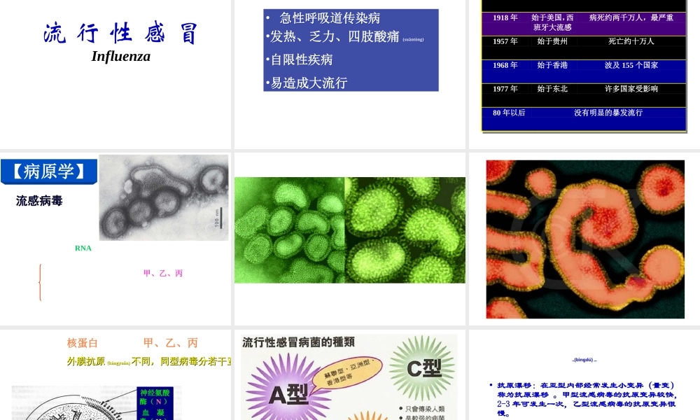 2022年医学专题—五、常见的各类传染病(精)(1).ppt