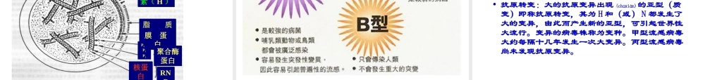 2022年医学专题—五、常见的各类传染病(精)(1).ppt