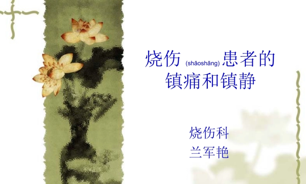 2022年医学专题—烧伤镇静镇痛(1).ppt