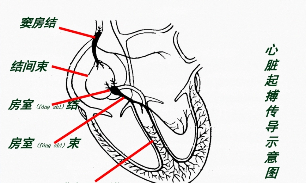 2022年医学专题—章-抗心律失常药付晖(1).ppt