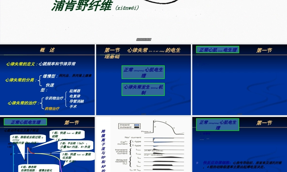 2022年医学专题—章-抗心律失常药付晖(1).ppt