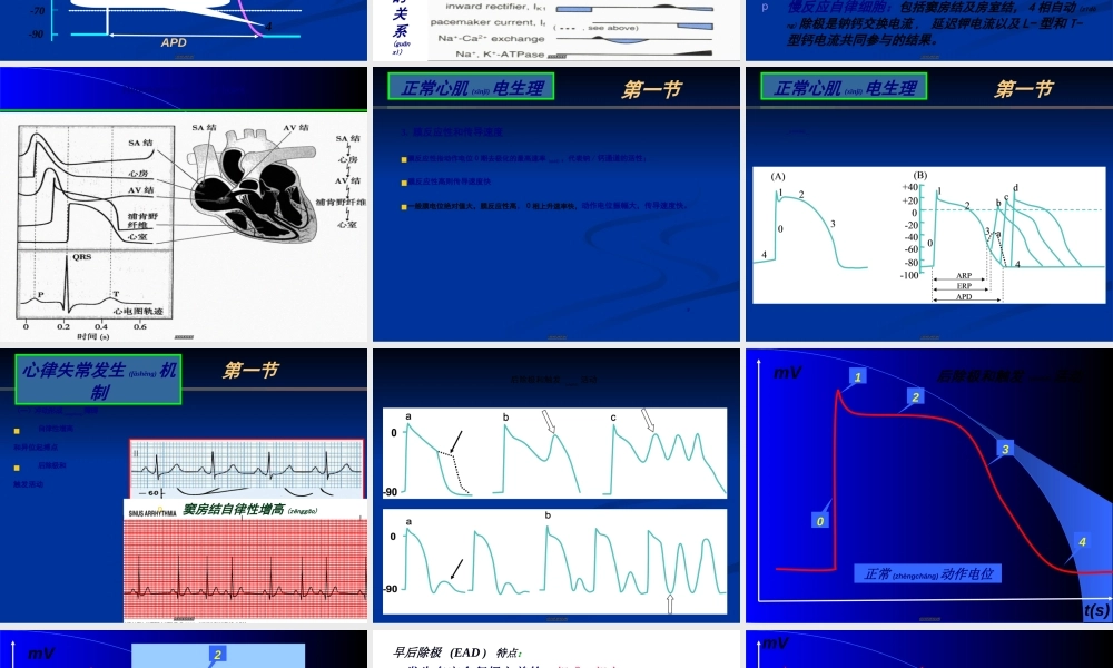 2022年医学专题—章-抗心律失常药付晖(1).ppt