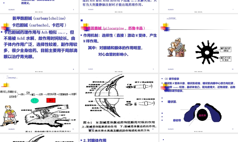 2022年医学专题—第6章--胆碱受体激动药和作用于胆碱酯酶药(1).ppt
