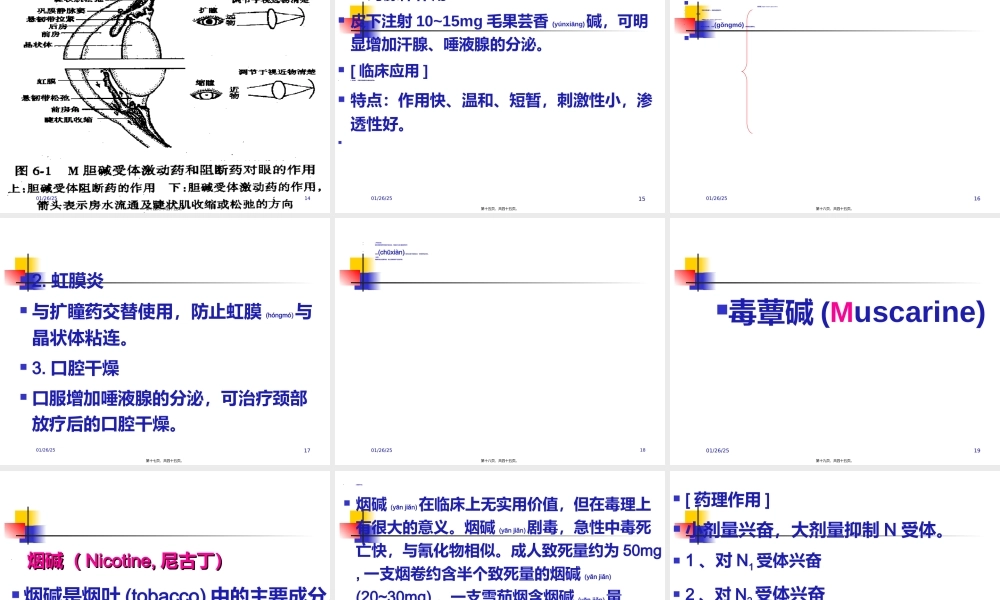 2022年医学专题—第6章--胆碱受体激动药和作用于胆碱酯酶药(1).ppt