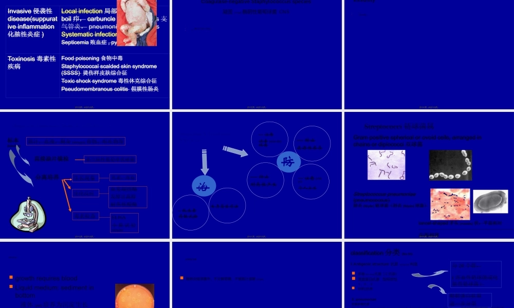 2022年医学专题—肺炎链球菌(1).ppt
