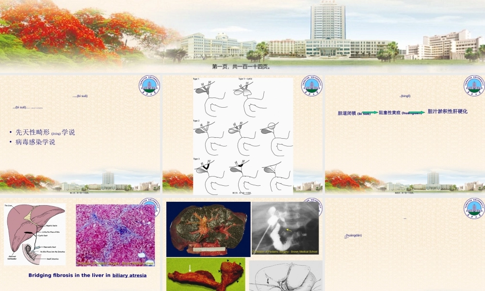 2022年医学专题—胆道闭锁阻塞性黄疸胆汁淤积性肝硬化Bridgingfibrosisin-长江大学(1).ppt