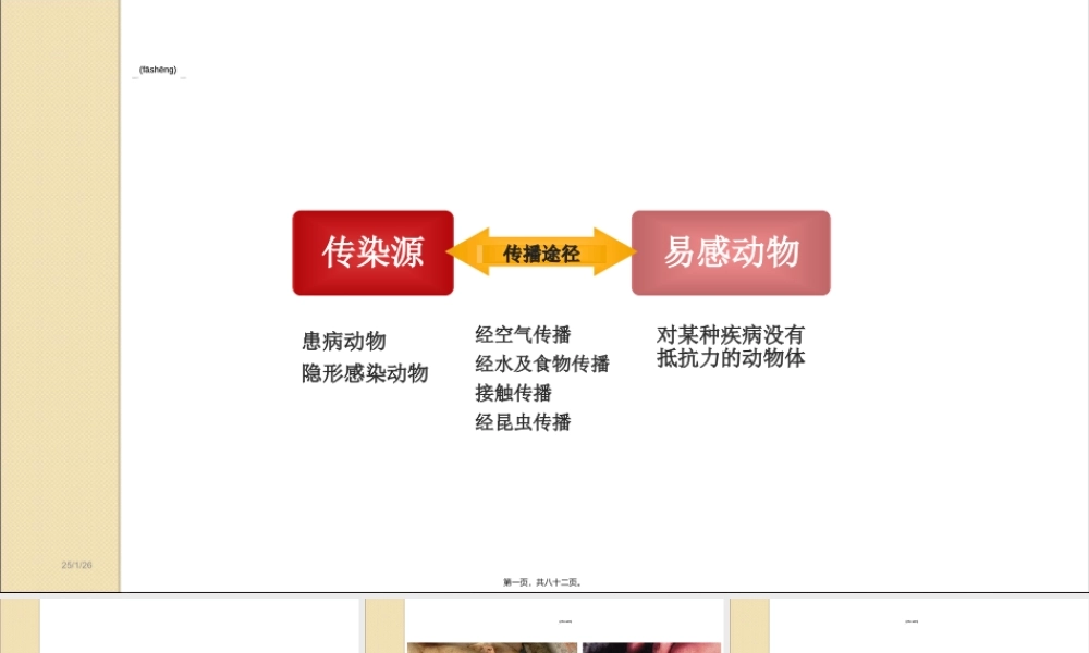 2022年医学专题—猪病防治技术ppt.ppt