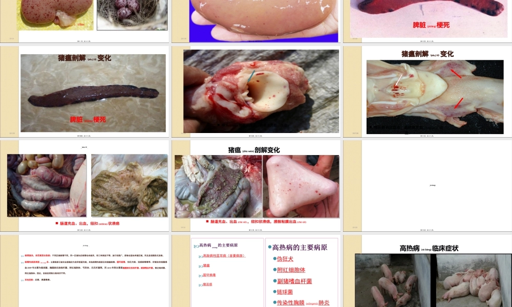 2022年医学专题—猪病防治技术ppt.ppt