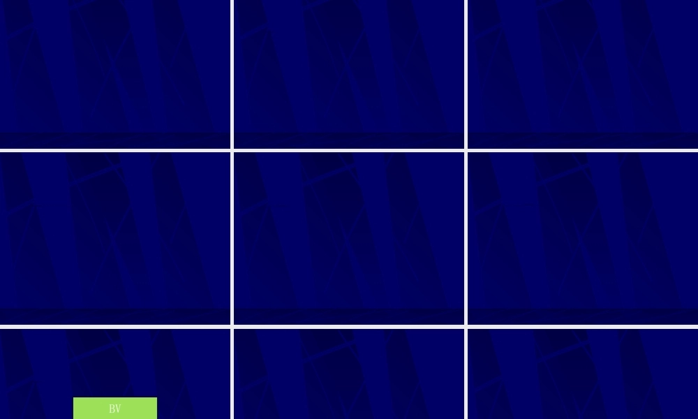 2022年医学专题—细菌性阴道病.ppt
