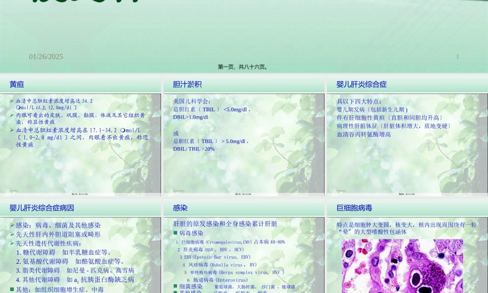 婴儿肝炎综合症-白欣立.pptx