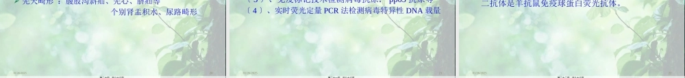 婴儿肝炎综合症-白欣立.pptx