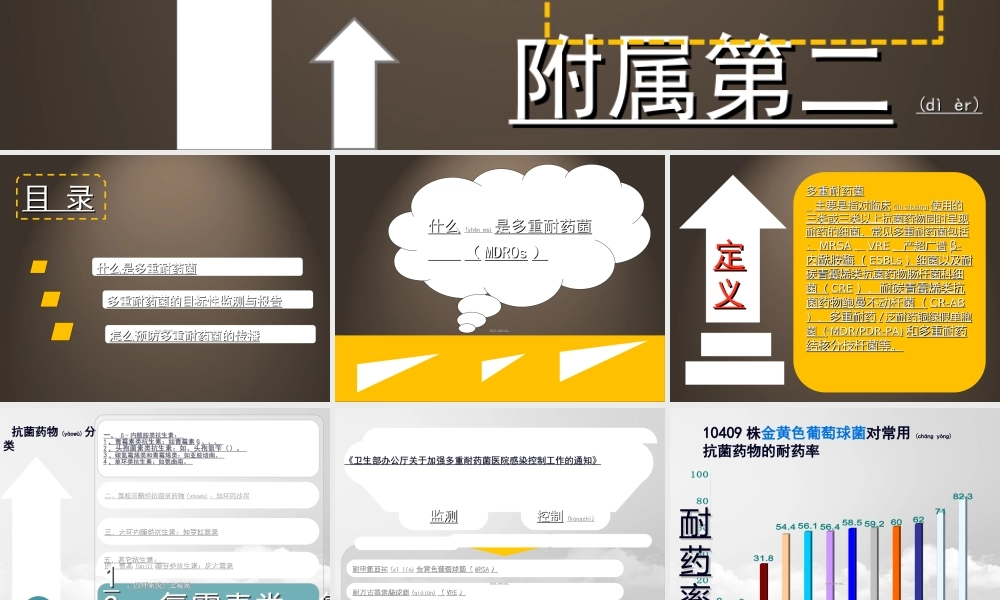 2022年医学专题—多重耐药菌的监测与控制(1).ppt