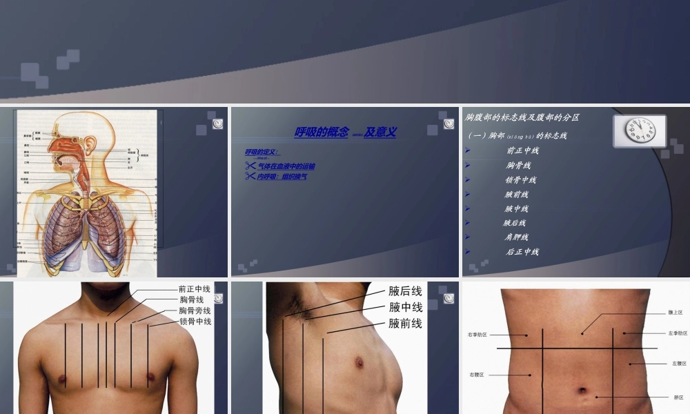 2022年医学专题—正常人体学-第六章-呼吸系统(1).ppt