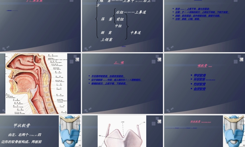 2022年医学专题—正常人体学-第六章-呼吸系统(1).ppt