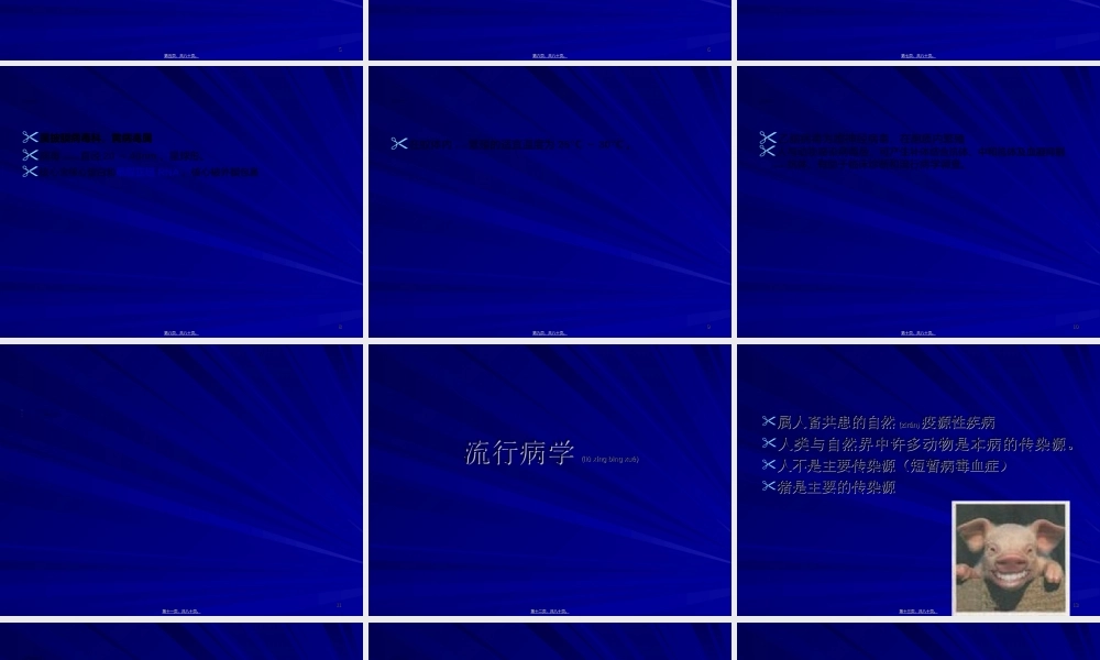 2022年医学专题—流行性乙型脑炎梁红霞(1).ppt