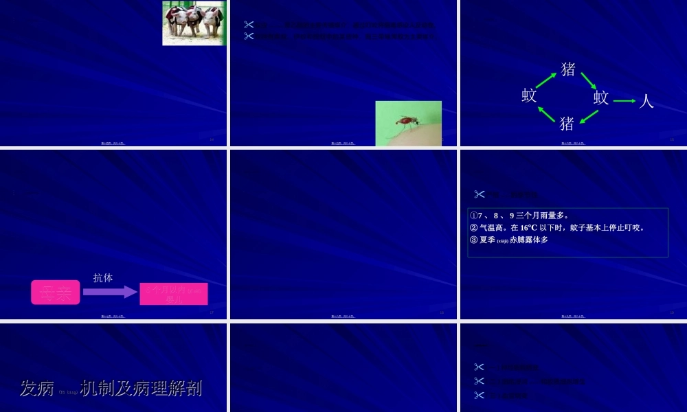 2022年医学专题—流行性乙型脑炎梁红霞(1).ppt