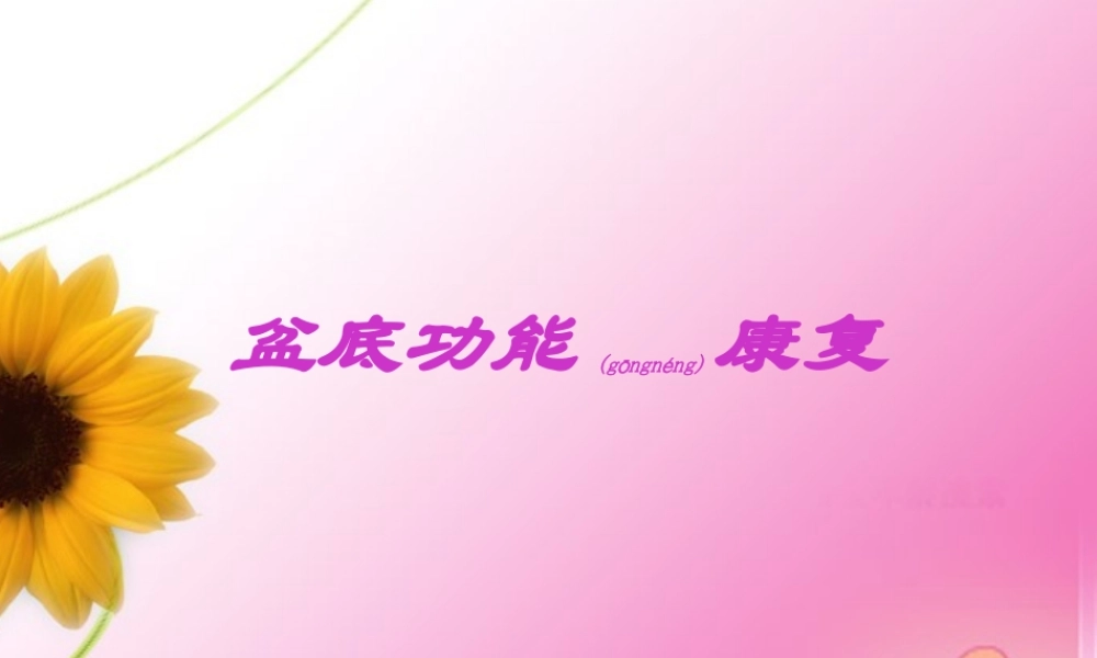 2022年医学专题—盆底功能康复(1).ppt