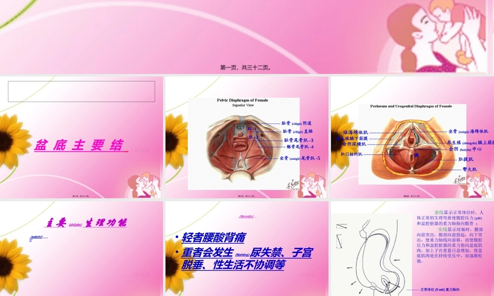 2022年医学专题—盆底功能康复(1).ppt