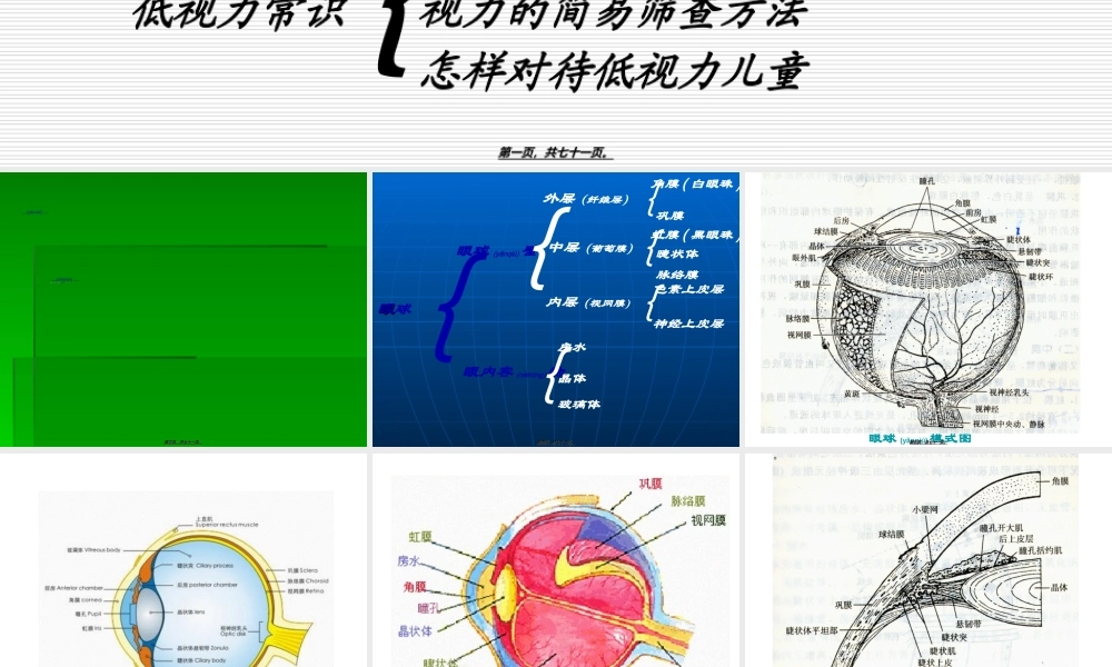 2022年医学专题—眼科知识与低视力常识(1).ppt